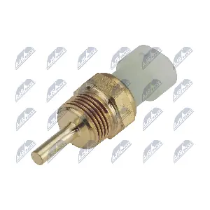 ECT-PL-008 NTY