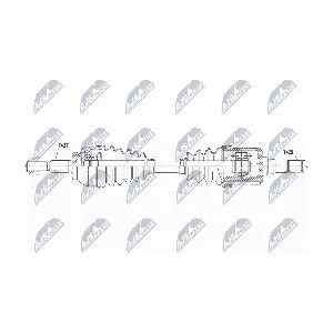 NTY NPW-FR-161