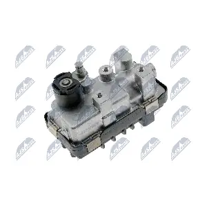 ECD-BM-007 NTY