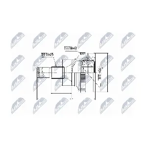 NPZ-PE-018 NTY