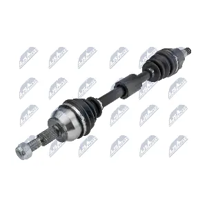 NPW-FR-143 NTY