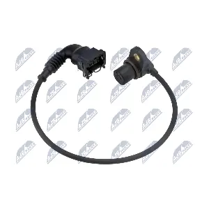 ECP-BM-021 NTY