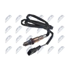 ESL-AR-002 NTY