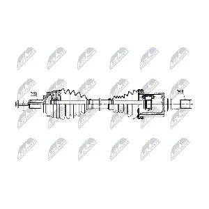 NPW-VV-162 NTY