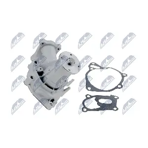 CPW-MS-029 NTY