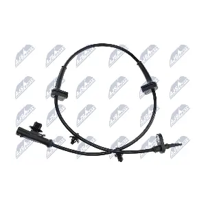 NTY HCA-FR-066