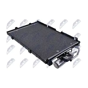 NTY CCS-PL-019