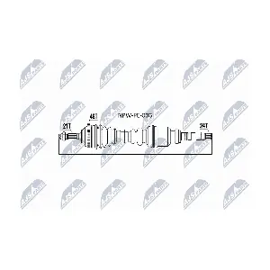 NPW-PE-006 NTY