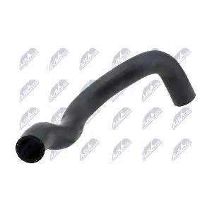 CPP-PL-005 NTY