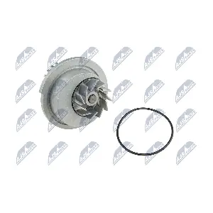 NTY CPW-DW-007