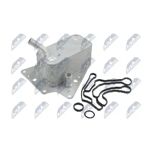 CCL-PL-022 NTY