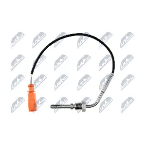 EGT-VW-029 NTY