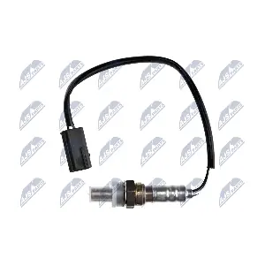 NTY ESL-NS-006