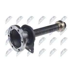 NPW-VW-019R1 NTY
