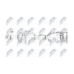 NPW-NS-066 NTY