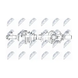 NPW-PE-051 NTY