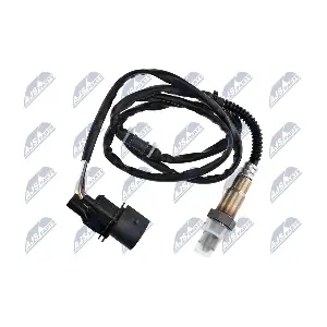 NTY ESLAU002
