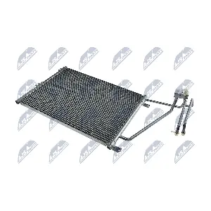 NTY CCS-PL-013