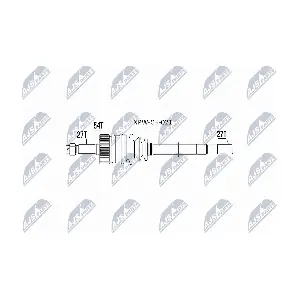 NPW-CH-021 NTY