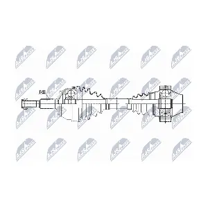 NPW-VW-251 NTY