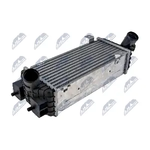 NTY CCL-HY-011