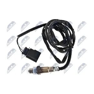 NTY ESL-AU-011