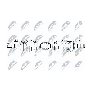 NPW-PL-168 NTY