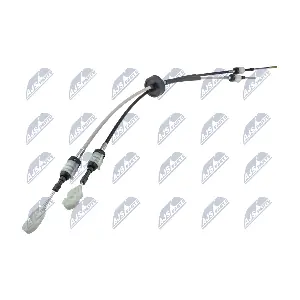 NXX-PL-006 NTY