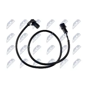 HCA-MS-031 NTY