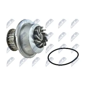 NTY CPW-PL-024