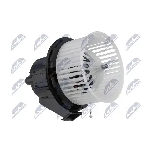 EWN-CT-005 NTY