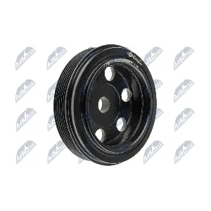 NTY RKP-FT-010