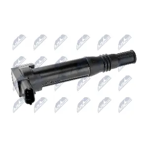 ECZ-PE-008 NTY