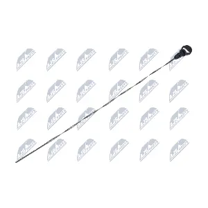 NTY BOLPE006