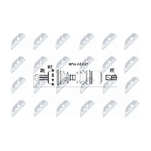 NPW-RE-037 NTY