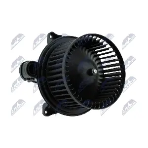 EWN-FR-010 NTY