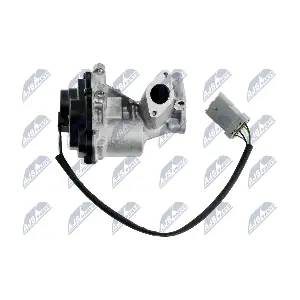 EGR-LR-005 NTY