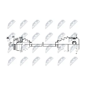 NPW-AU-098 NTY