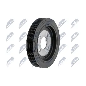 RKP-PE-007 NTY