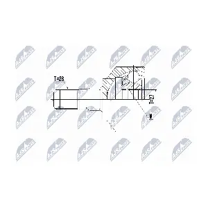 NPW-VV-098 NTY