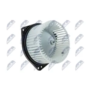 EWN-MS-001 NTY