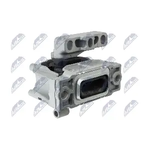 ZPS-VW-061 NTY