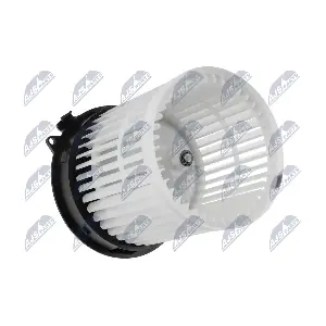 EWN-NS-009 NTY