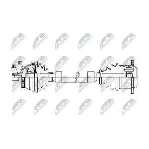 NPW-AU-093 NTY