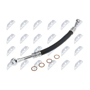 ECP-BM-016 NTY