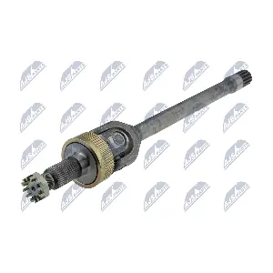 NTY NPW-CH-138