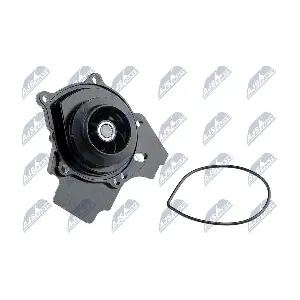 CPW-AU-041 NTY