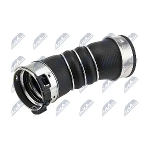 GPP-BM-038 NTY