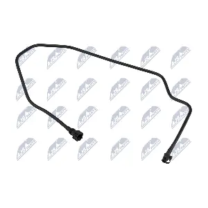 BPP-FR-007 NTY