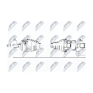 NPW-VV-031 NTY